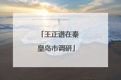 王正谱在秦皇岛市调研