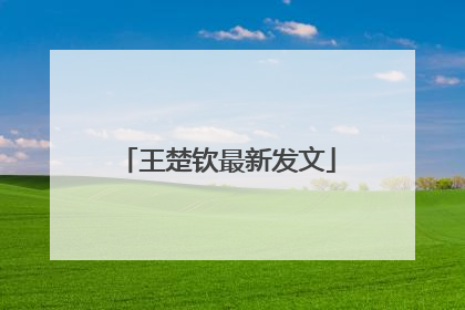 王楚钦最新发文