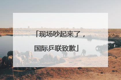 现场吵起来了，国际乒联致歉