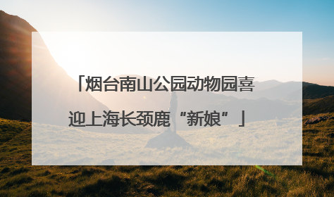 烟台南山公园动物园喜迎上海长颈鹿“新娘”