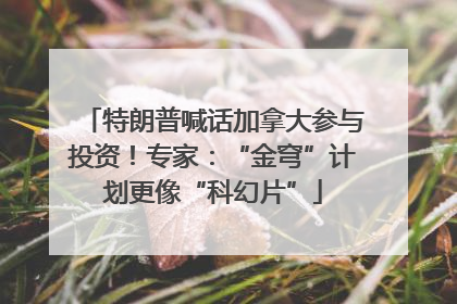 特朗普喊话加拿大参与投资！专家：“金穹”计划更像“科幻片”