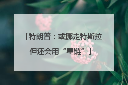 特朗普：或挪走特斯拉 但还会用“星链”