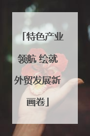 特色产业领航 绘就外贸发展新画卷