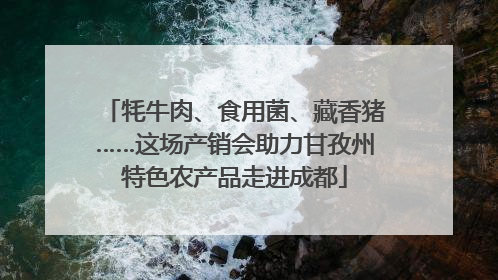 牦牛肉、食用菌、藏香猪……这场产销会助力甘孜州特色农产品走进成都