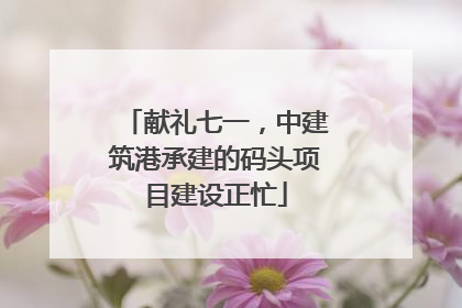 献礼七一，中建筑港承建的码头项目建设正忙