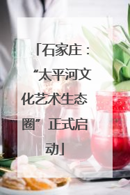 石家庄：“太平河文化艺术生态圈”正式启动