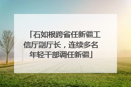 石如根跨省任新疆工信厅副厅长，连续多名年轻干部调任新疆