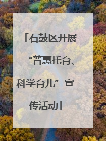 石鼓区开展“普惠托育、科学育儿”宣传活动