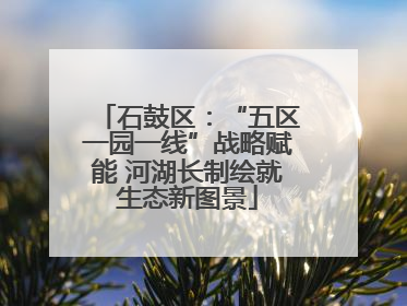 石鼓区：“五区一园一线”战略赋能 河湖长制绘就生态新图景