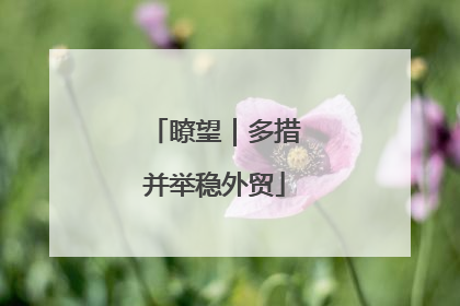 瞭望｜多措并举稳外贸