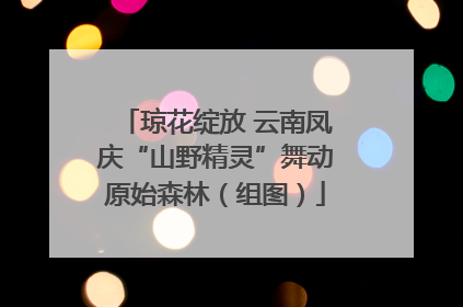 琼花绽放 云南凤庆“山野精灵”舞动原始森林（组图）