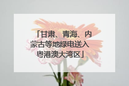 甘肃、青海、内蒙古等地绿电送入粤港澳大湾区