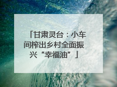 甘肃灵台：小车间榨出乡村全面振兴“幸福油”