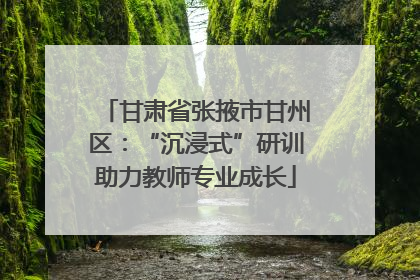 甘肃省张掖市甘州区：“沉浸式”研训助力教师专业成长