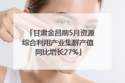 甘肃金昌前5月资源综合利用产业集群产值同比增长27%