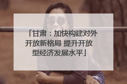 甘肃：加快构建对外开放新格局 提升开放型经济发展水平