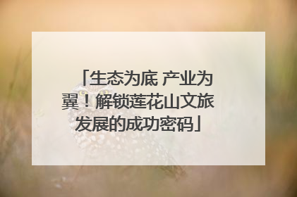 生态为底 产业为翼！解锁莲花山文旅发展的成功密码
