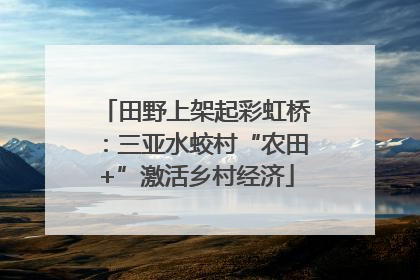 田野上架起彩虹桥：三亚水蛟村“农田+”激活乡村经济
