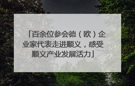 百余位参会德（欧）企业家代表走进顺义，感受顺义产业发展活力