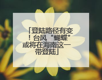 登陆路径有变！台风“蝴蝶”或将在海南这一带登陆
