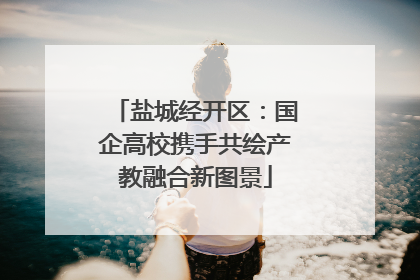 盐城经开区：国企高校携手共绘产教融合新图景