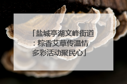 盐城亭湖文峰街道：粽香艾草传温情 多彩活动聚民心