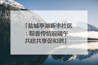 盐城亭湖新丰社区：粽香传情迎端午 共建共享促和谐