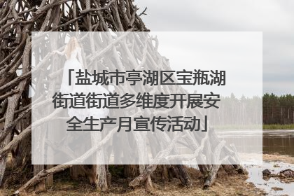 盐城市亭湖区宝瓶湖街道街道多维度开展安全生产月宣传活动