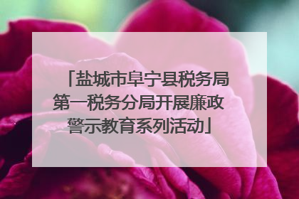 盐城市阜宁县税务局第一税务分局开展廉政警示教育系列活动