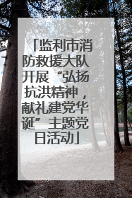 监利市消防救援大队开展“弘扬抗洪精神，献礼建党华诞”主题党日活动