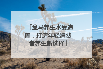 盒马养生水受追捧，打造年轻消费者养生新选择