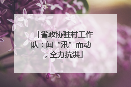 省政协驻村工作队：闻“汛”而动，全力抗洪