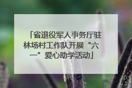 省退役军人事务厅驻林场村工作队开展“六一”爱心助学活动