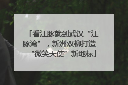 看江豚就到武汉“江豚湾”，新洲双柳打造“微笑天使”新地标