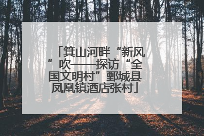 箕山河畔“新风”吹——探访“全国文明村”鄄城县凤凰镇酒店张村