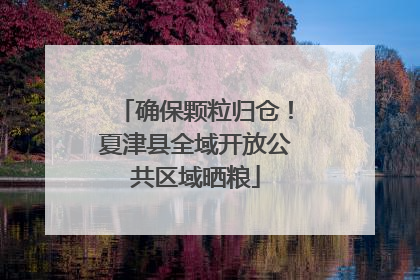 确保颗粒归仓！夏津县全域开放公共区域晒粮