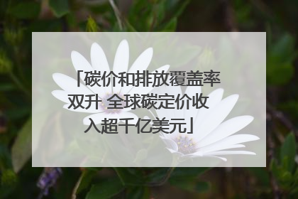 碳价和排放覆盖率双升 全球碳定价收入超千亿美元