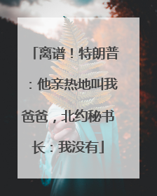 离谱！特朗普：他亲热地叫我爸爸，北约秘书长：我没有