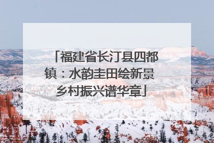 福建省长汀县四都镇：水韵圭田绘新景 乡村振兴谱华章