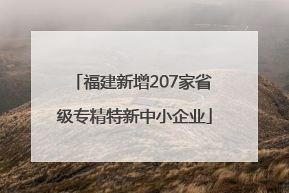 福建新增207家省级专精特新中小企业