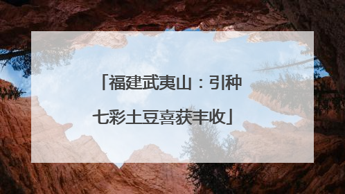 福建武夷山：引种七彩土豆喜获丰收