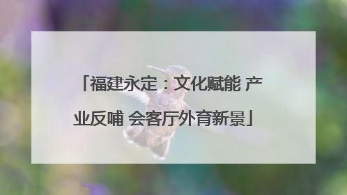 福建永定：文化赋能 产业反哺 会客厅外育新景