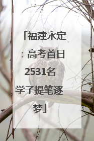 福建永定：高考首日2531名学子提笔逐梦
