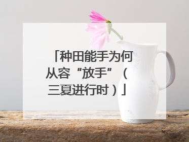 种田能手为何从容“放手”（三夏进行时）