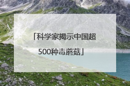 科学家揭示中国超500种毒蘑菇