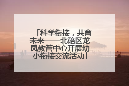 科学衔接，共育未来——北碚区龙凤教管中心开展幼小衔接交流活动