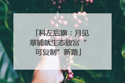 科左后旗：月见草铺就生态致富“可复制”新路