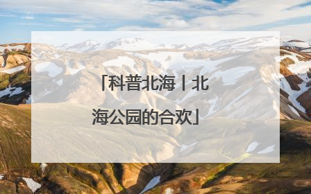科普北海丨北海公园的合欢