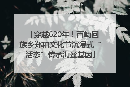 穿越620年！百崎回族乡郑和文化节沉浸式“活态”传承海丝基因