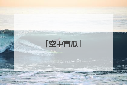 空中育瓜